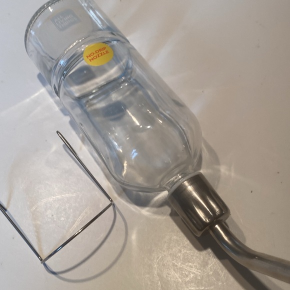 All Living Things Glass Pet Water Bottle - Picture 1 of 6